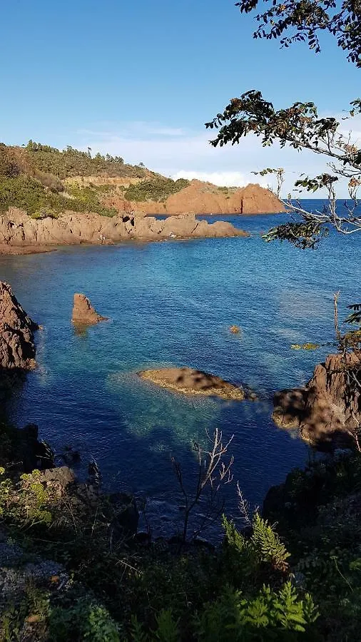 Holiday home Saint Raphael - Appartement Dans Villa Au Calme A Valescure Y- Prix Inchanges France